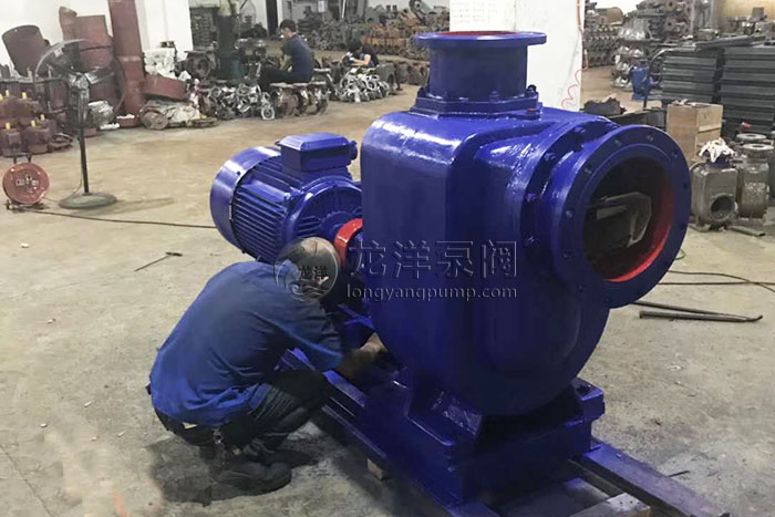 大口徑大流量高揚程自吸泵
